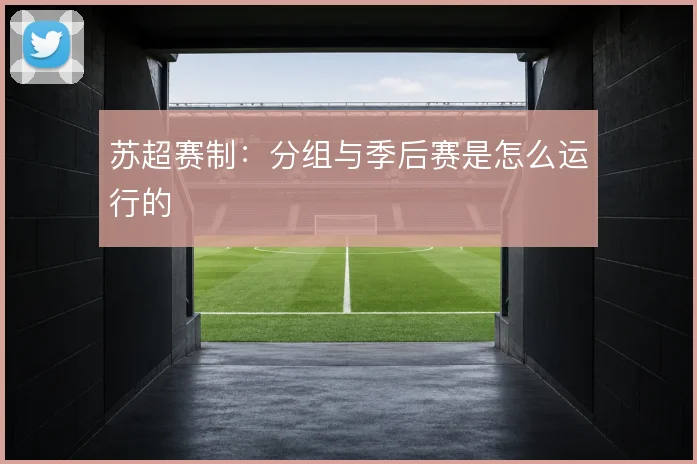 苏超赛制:分组与季后赛是怎么运行的